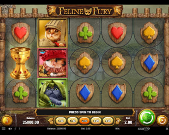 Feline Fury