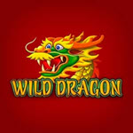 Wild Dragon