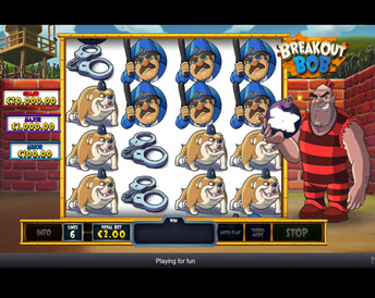 Breakout Bob