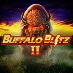 Buffalo Blitz 2