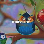 Bird Slot