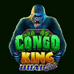Congo King Quad Shot