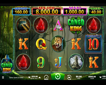 Congo King Quad Shot