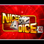 Nicer Dice 40