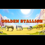Golden Stallion