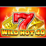 Wild Hot 40