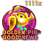 Golden Pig Good News