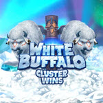 White Buffalo Cluster Wins