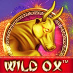 Wild Ox