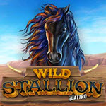 Wild Stallion Quatro