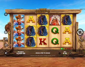 Wild Stallion Quatro