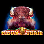Bison Trail