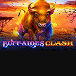 Buffaloes Clash