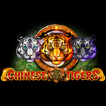 Chinese Tigers