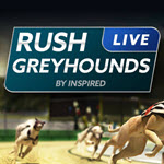 V-Play Greyhounds Now