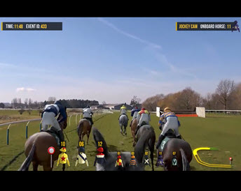 V-Play Horses 2 Flats