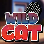 Wild Cat