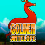 Golden Antelope