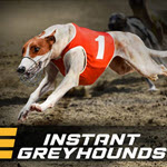 Instant Greyhound Races