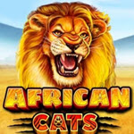 African Cats