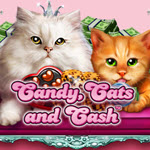 Candy, Cats and Cash
