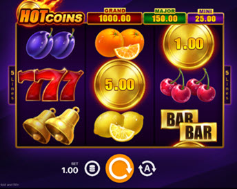Hot Coins Hold and Win