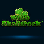 Wild Shamrock