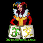 20 Burning Dice