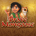 Brave Mongoose