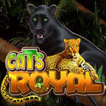 Cats Royal