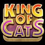 King of Cats