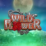 Wild Flower