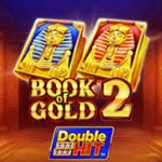 Book of Gold 2 Double Hit