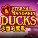 Power Prizes Eternal Mandarin Ducks