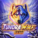 Fire Blaze Golden: Tundra Wolf