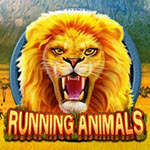 Running Animals