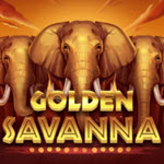 Golden Savanna