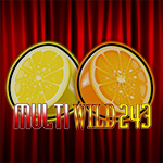 Multi Wild 243