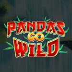 Pandas Go Wild