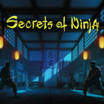 Secrets of Ninja
