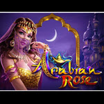 Arabian Rose (Ainsworth)
