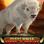 Great White Buffalo
