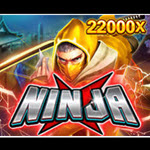 Ninja X