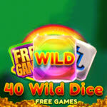 40 Wild Dice