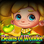 Beans of Wonder