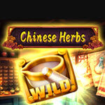 Chinese Herbs