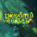 Enchanted Forest