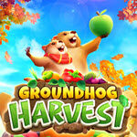 Groundhog Harvest