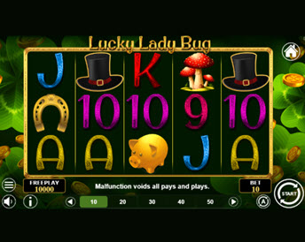 Lucky Lady Bug