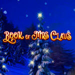 Book Of Mrs Claus